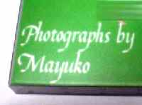 Photographs by Mayuko