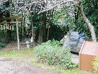 ���B�̗��̋��S��