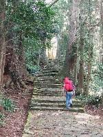 �F��Ó��i�ߒq��ЎQ���j