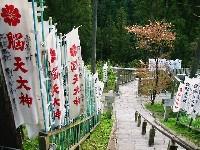 �]�V��_�Q��