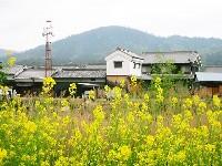 �O�֎R��]��