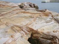 ���̂���Ȋ����̊G��