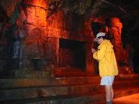 ���A�C�i�H�j����q��