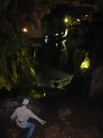 �H�F���𔇂�