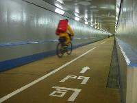 �{���͎��]�Ԃ��~��Ȃ���_���ł�