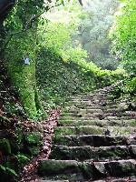 �ۂނ������Ă̎Q��