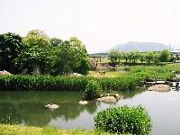 �������p�P��A�����ɋ��R