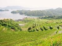 ��Y�l�̒I�c