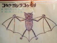 �u�R�L�N�K�V���R�D�����v