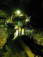 �����ߓ����T��