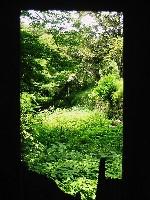 ���č��傪�������̐�