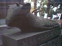 ����Ȋi�D�ŐQ�鋍���邩�H