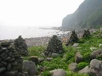 ���N�}�̓�