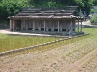 �Ή����̑q��