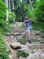 �p�F�R���ւ̓�