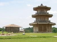 �f�q��̔��p���ۘO