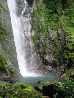 ���񂾂�Ƃǂ�