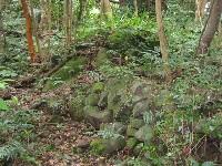 ���ꂪ�}���{�Ղ炵��