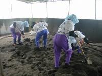 �����@�邨�΂��񂽂�