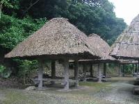 ��a���̍��q