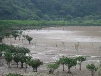 �}���O���[�u��