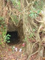 �g�t�������