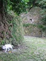 ��������؂�L