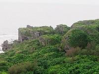 ����햖���A�l�X�͂��������ꏊ�𓦂�����Ă����炵���B�؂͏Ă������Ă����݂���������