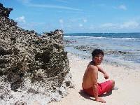 �J�x�[�����ɂ�