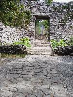 ���A�m��̏��