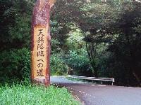 ���̐�ŉ��c�F���҂��Ă���c