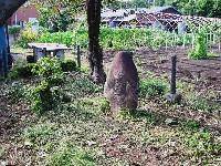 ���q�a��