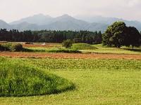 ���s���Õ��Q