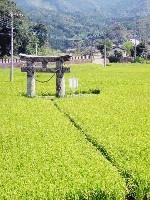 �P�n�Ε��̎Q�������������炵��