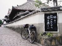 �A���Ƃ����邩�痷�͊y����