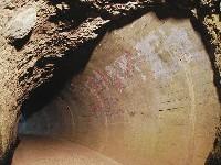 �T�C����A�Z�����g�h�肪���ł���