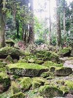 �匳�_�ЎQ��