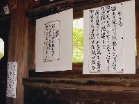 �������ā[�񂾂�I