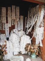 �[�ߎD���炯�̂��n���l