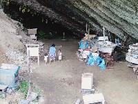 ���̎����������֕������΂������