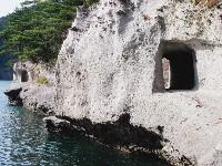 ���Y�g���l��