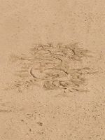 ����ς�悭�킩���