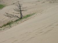 ���捻�u���i