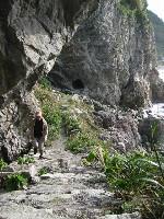 �\�o�̐e�m�炸