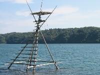 �ڂ�҂��₮��