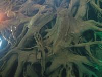 ���Ö��v��