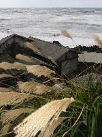 �ӏH�̓��{�C