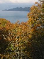 �ӏH�̏\�a�c��