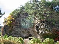 �`�o���F�肵���X��