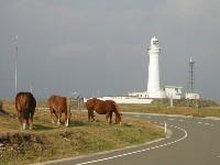 �K���蓔��Ɗ����n